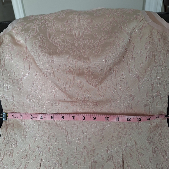 Ted Baker Blush Lace Fit & Flare Dress - Picture 12 of 12